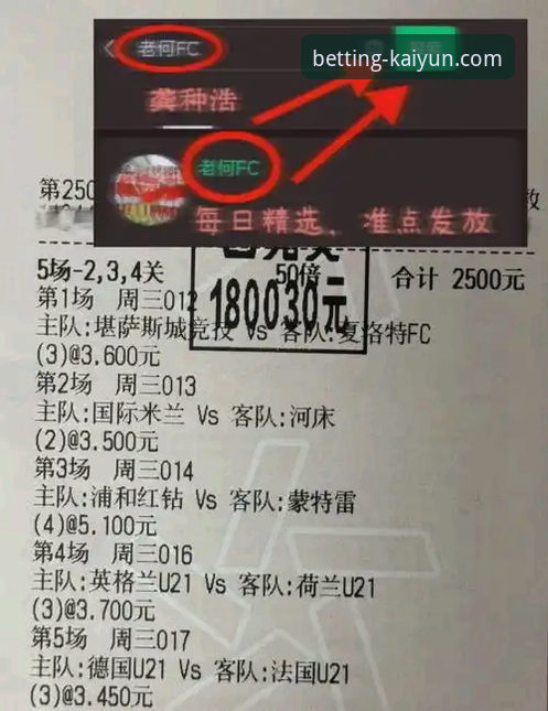 从帕尼切利伤退事件，看开云体育平台获取深度赛事分析的实用指南